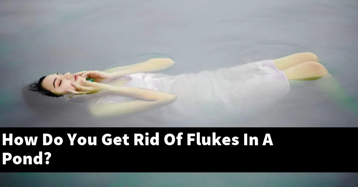 How Do You Get Rid Of Flukes In A Pond?