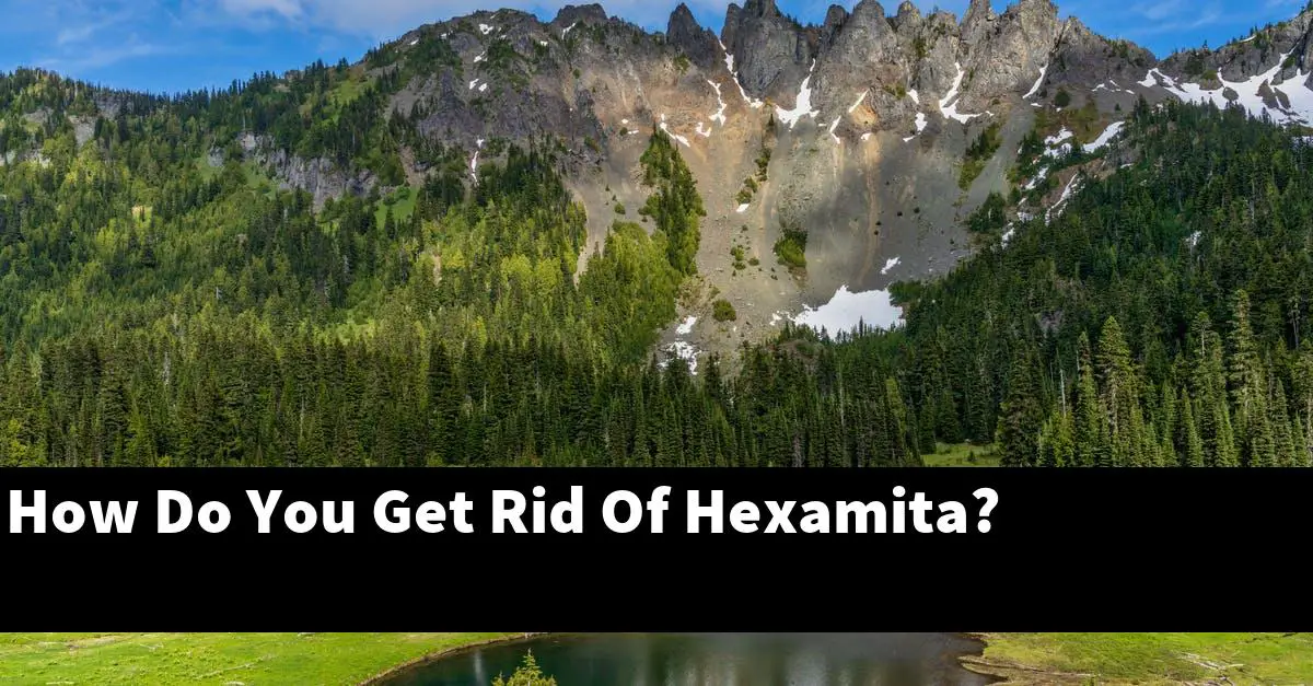 How Do You Get Rid Of Hexamita?