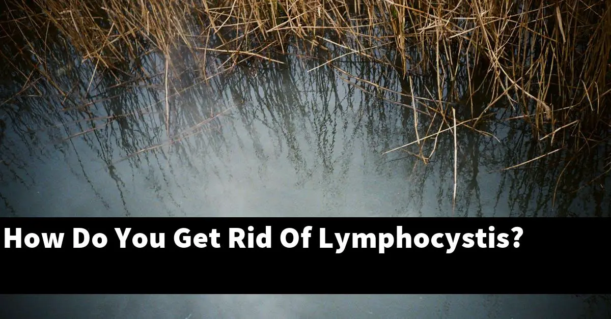 How Do You Get Rid Of Lymphocystis?