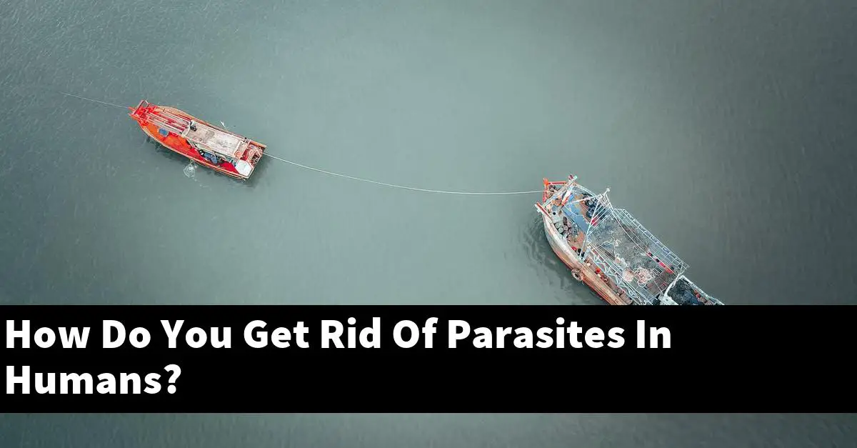 How Do You Get Rid Of Parasites In Humans?