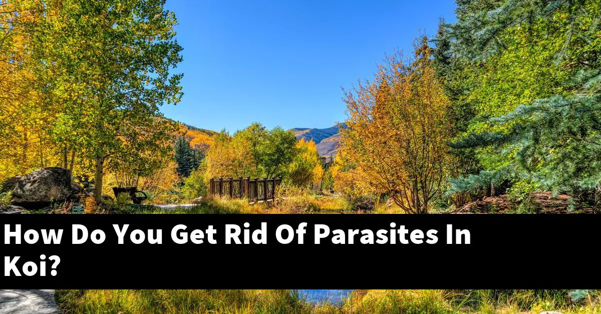 How Do You Get Rid Of Parasites In Koi?