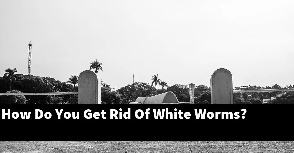 How Do You Get Rid Of White Worms?