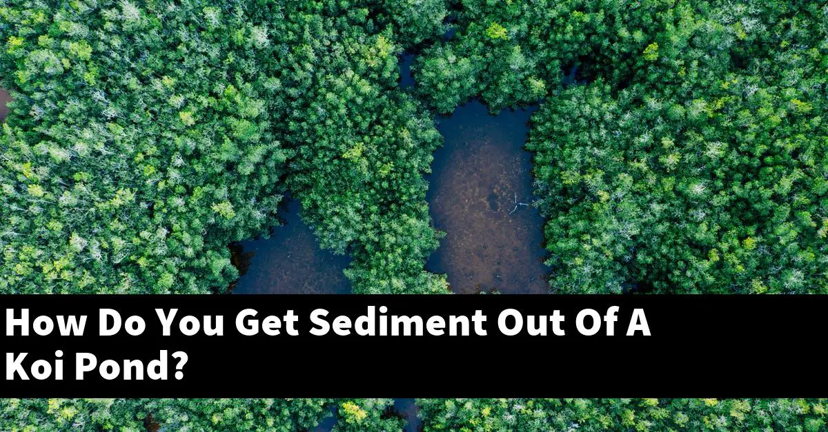 How Do You Get Sediment Out Of A Koi Pond?