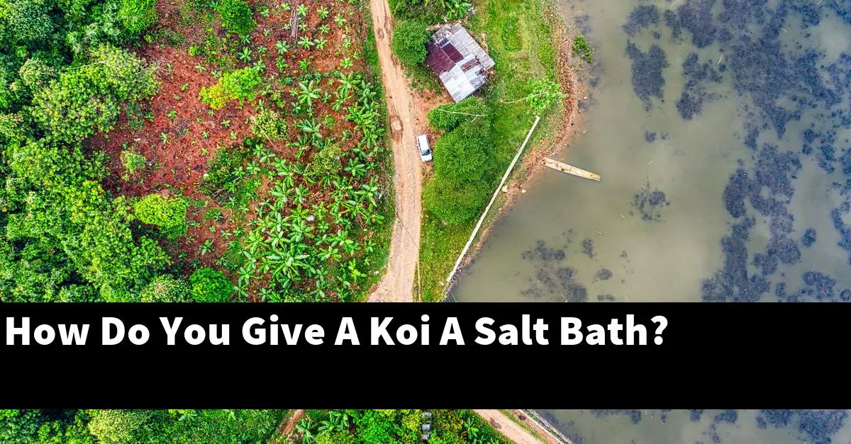 How Do You Give A Koi A Salt Bath?