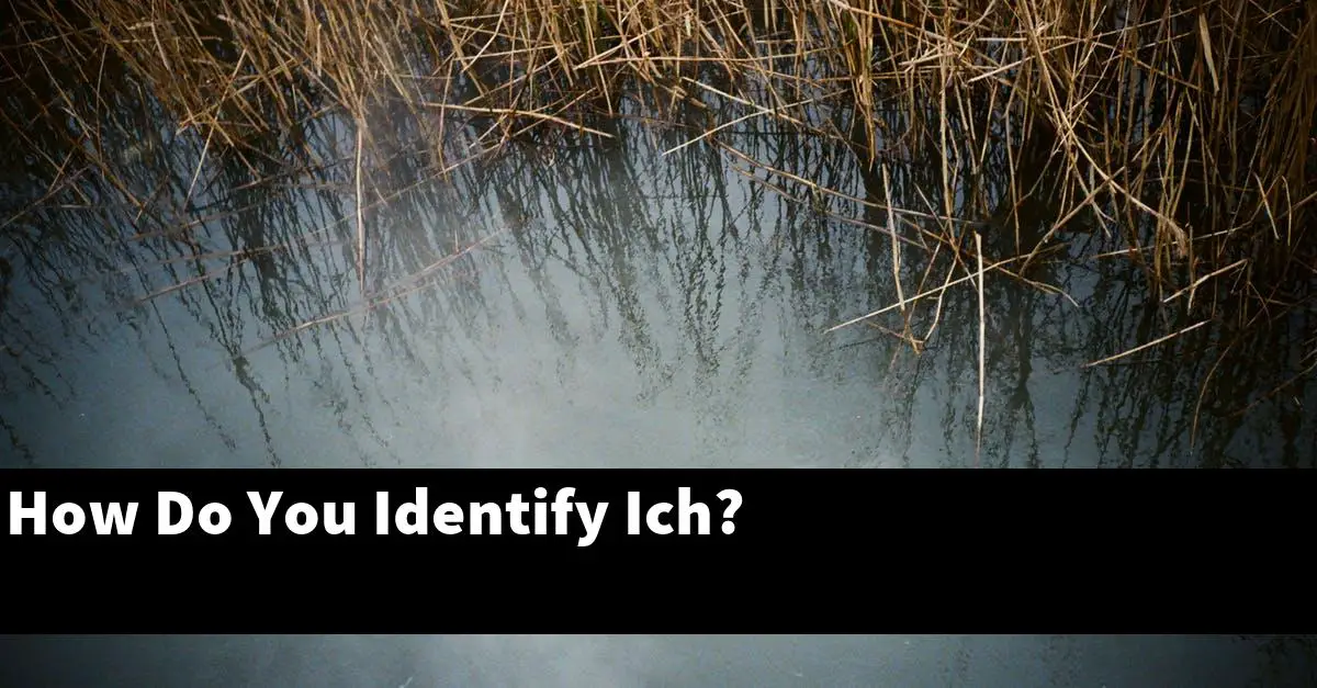 How Do You Identify Ich?