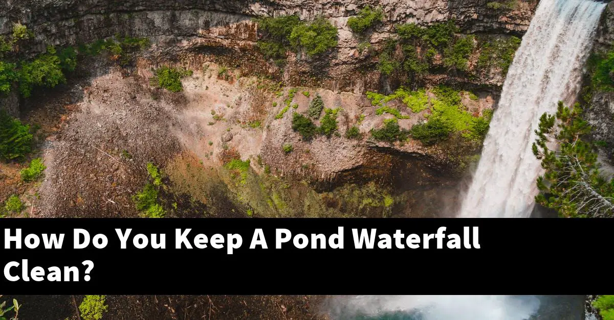 How Do You Keep A Pond Waterfall Clean?