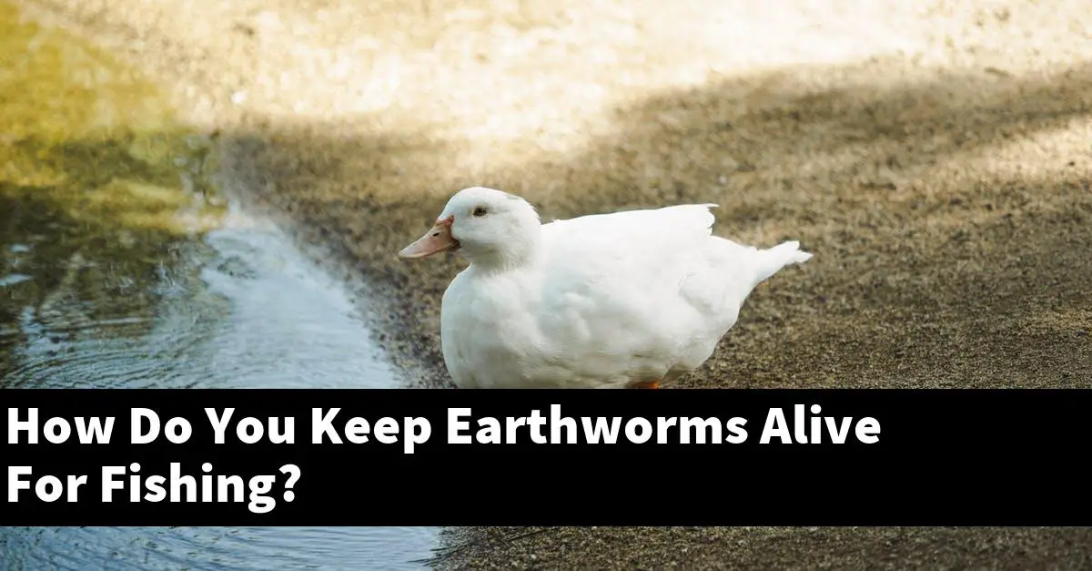 How Do You Keep Earthworms Alive For Fishing?
