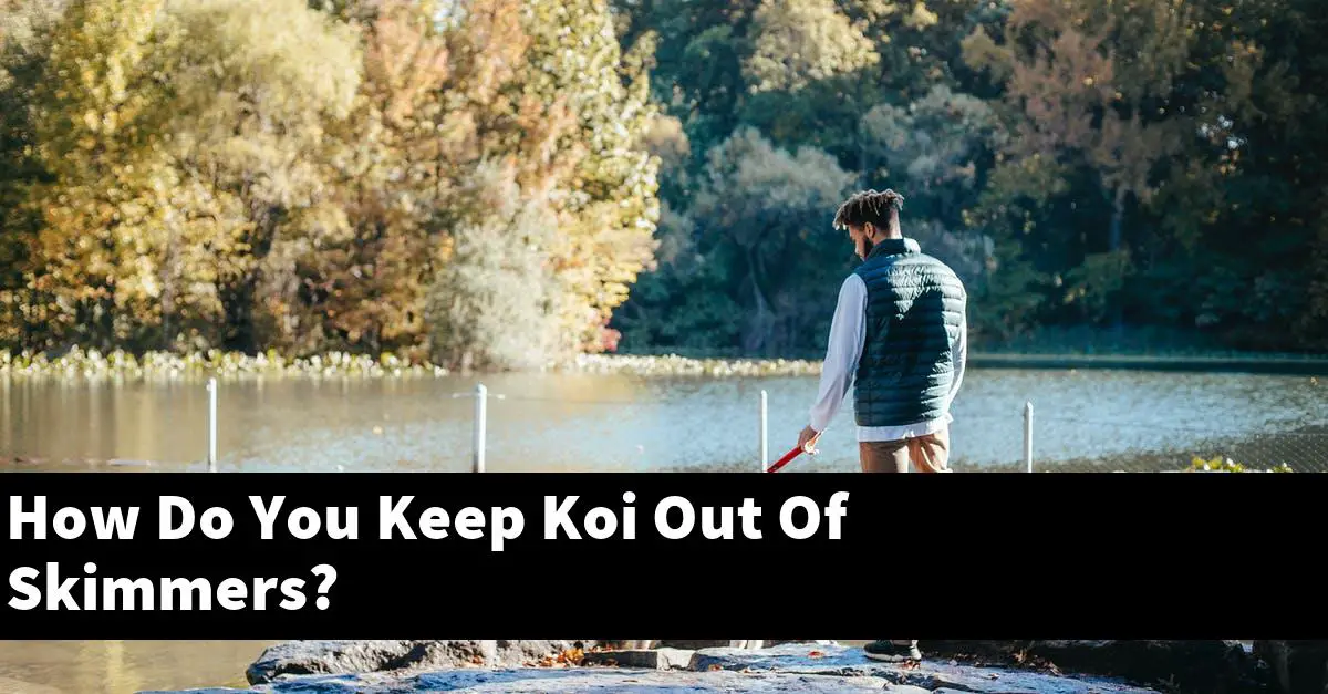 How Do You Keep Koi Out Of Skimmers?