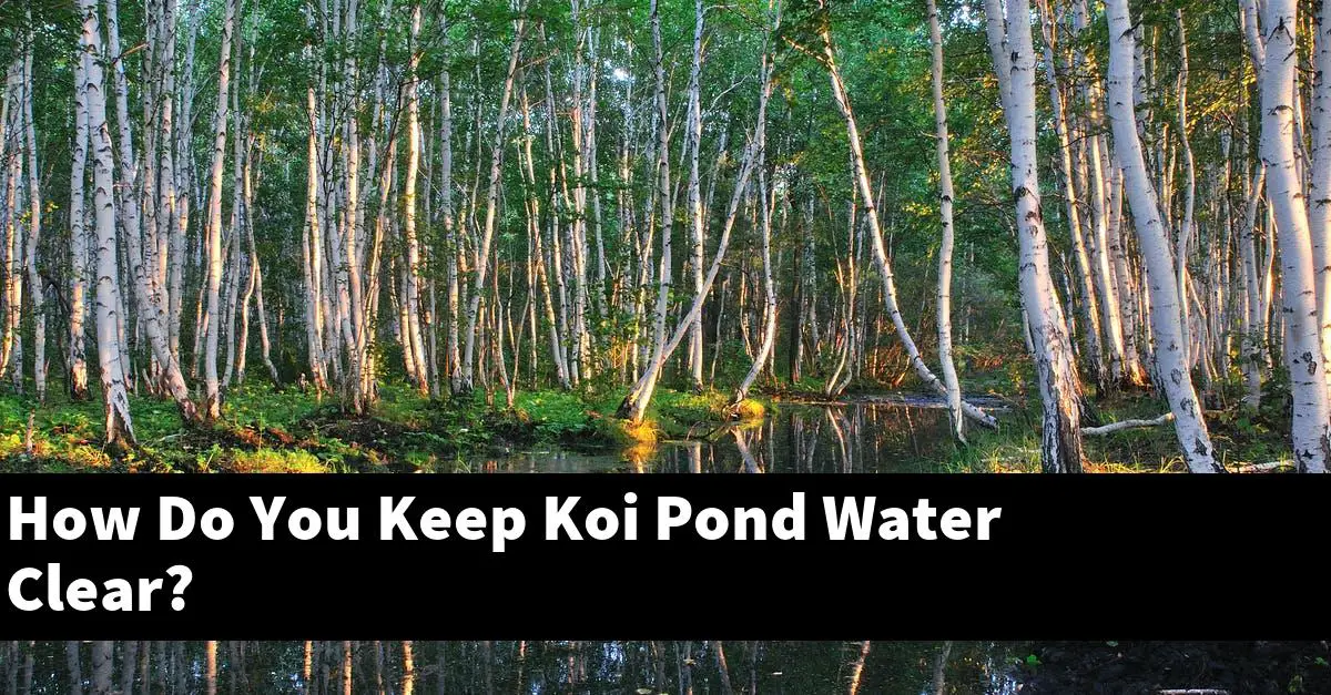How Do You Keep Koi Pond Water Clear?