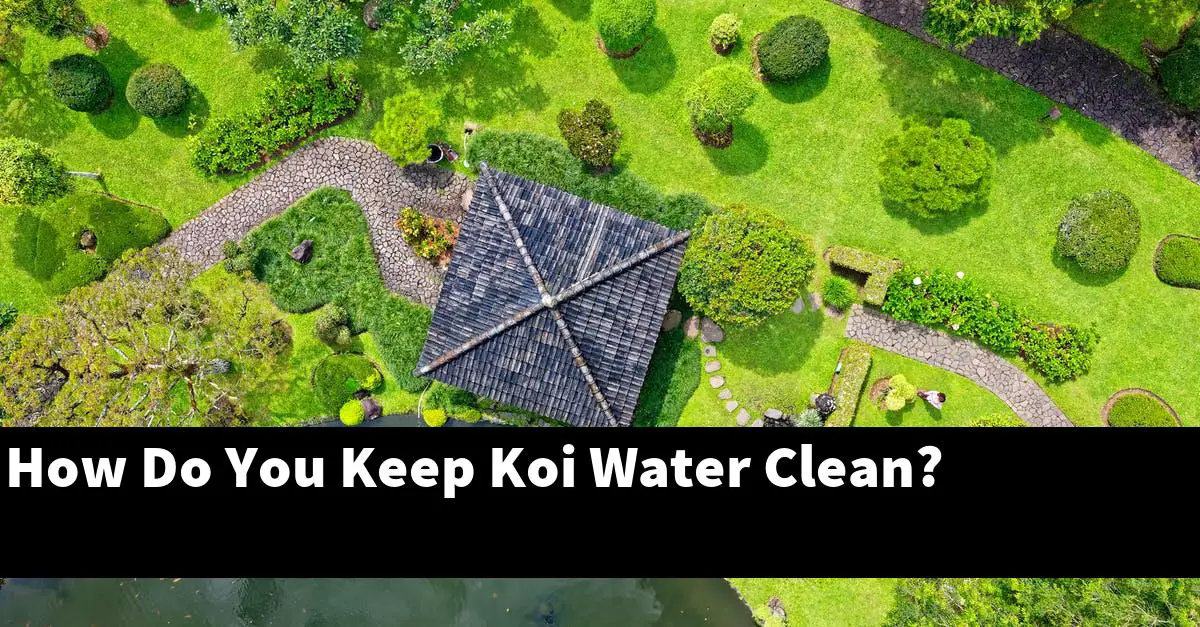 How Do You Keep Koi Water Clean?