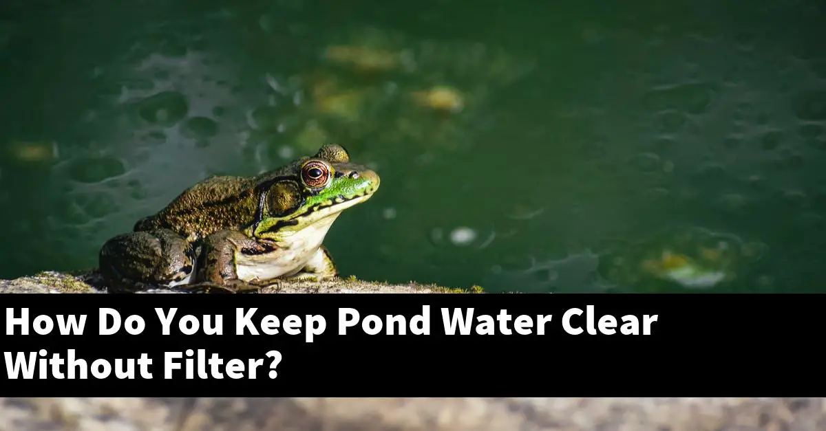 How Do You Keep Pond Water Clear Without Filter?