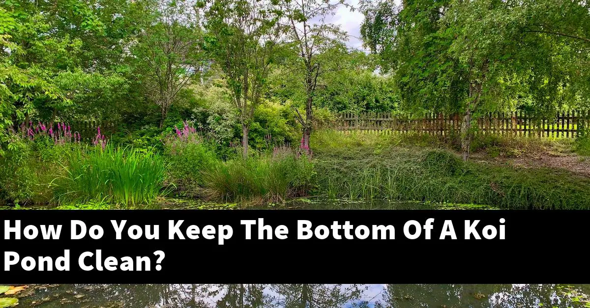 How Do You Keep The Bottom Of A Koi Pond Clean?