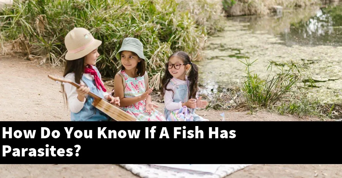 How Do You Know If A Fish Has Parasites?