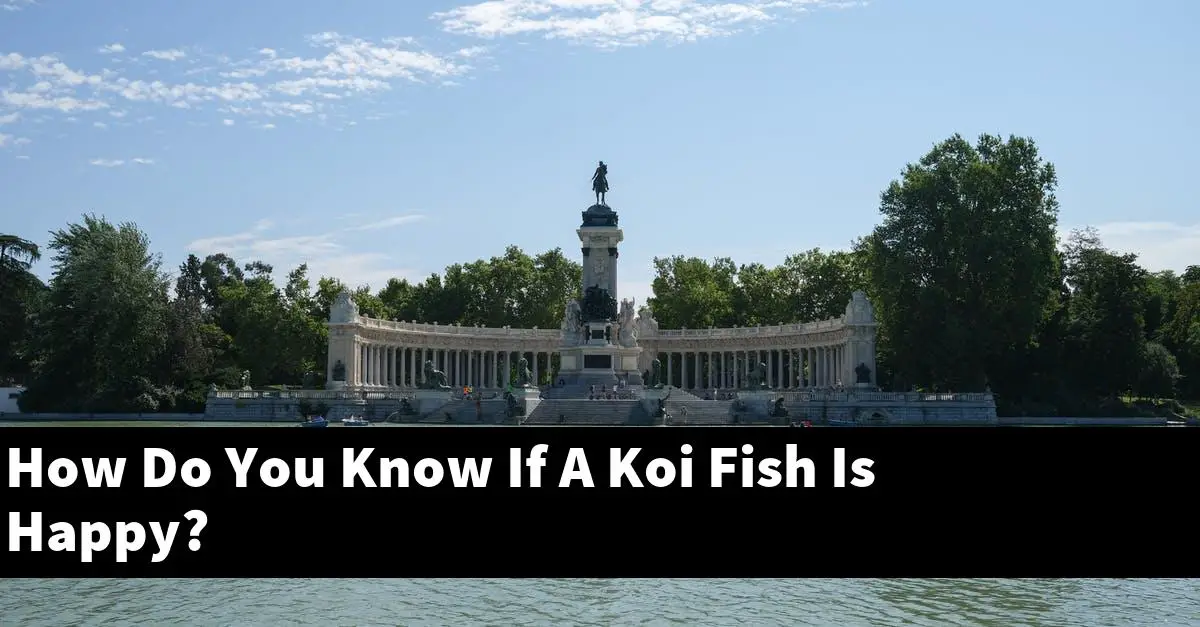 How Do You Know If A Koi Fish Is Happy?
