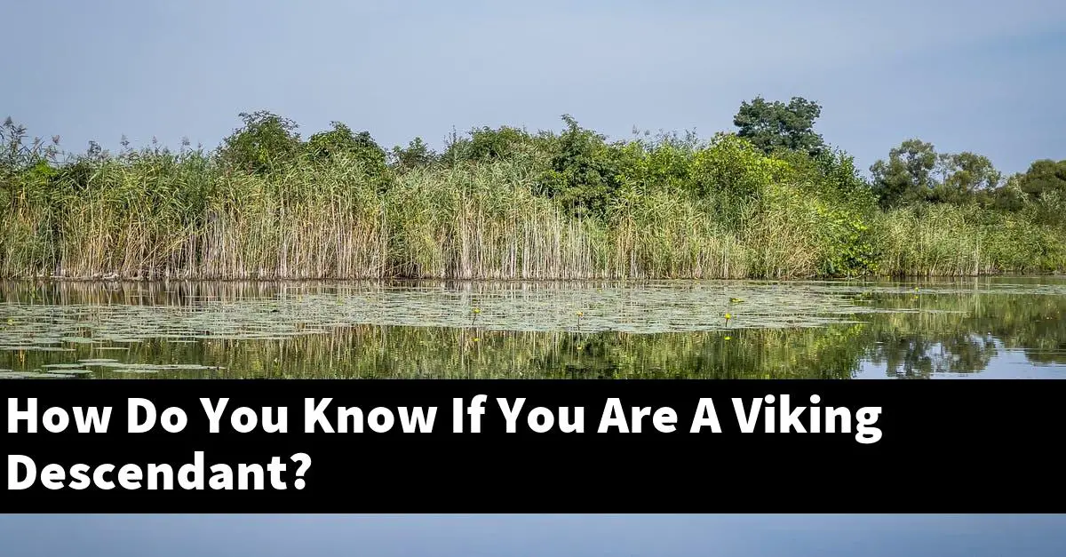 How Do You Know If You Are A Viking Descendant?