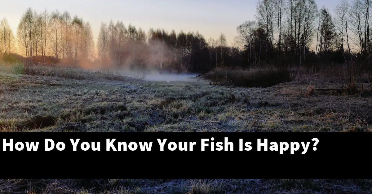 How Do You Know Your Fish Is Happy?