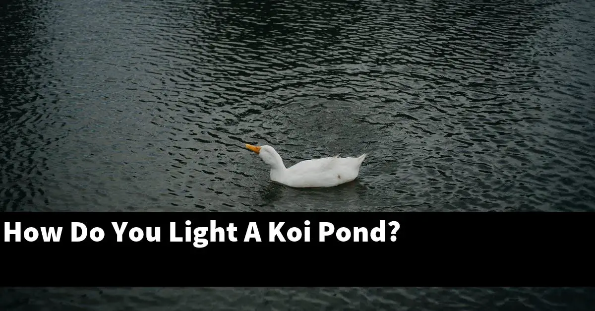 How Do You Light A Koi Pond?