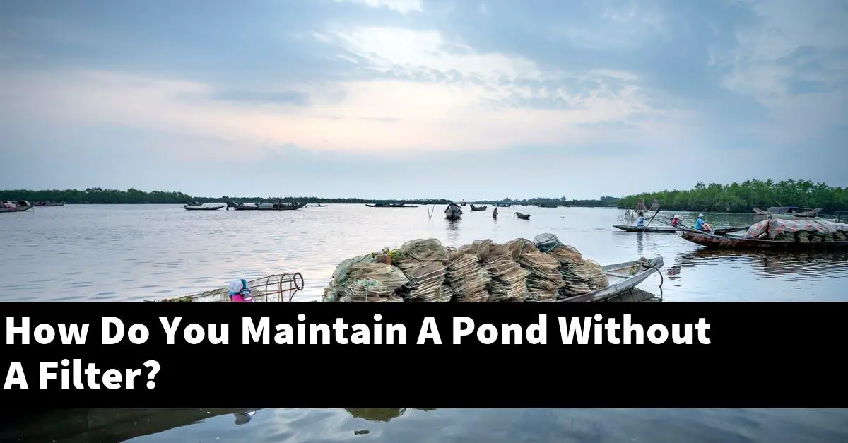 How Do You Maintain A Pond Without A Filter?