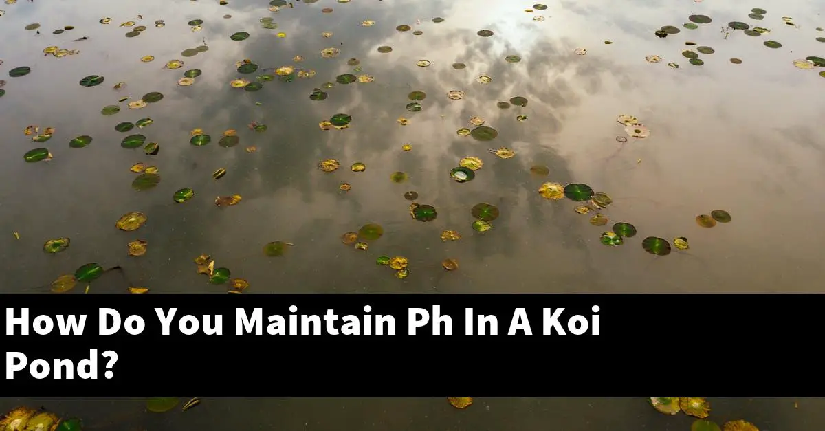 How Do You Maintain Ph In A Koi Pond?