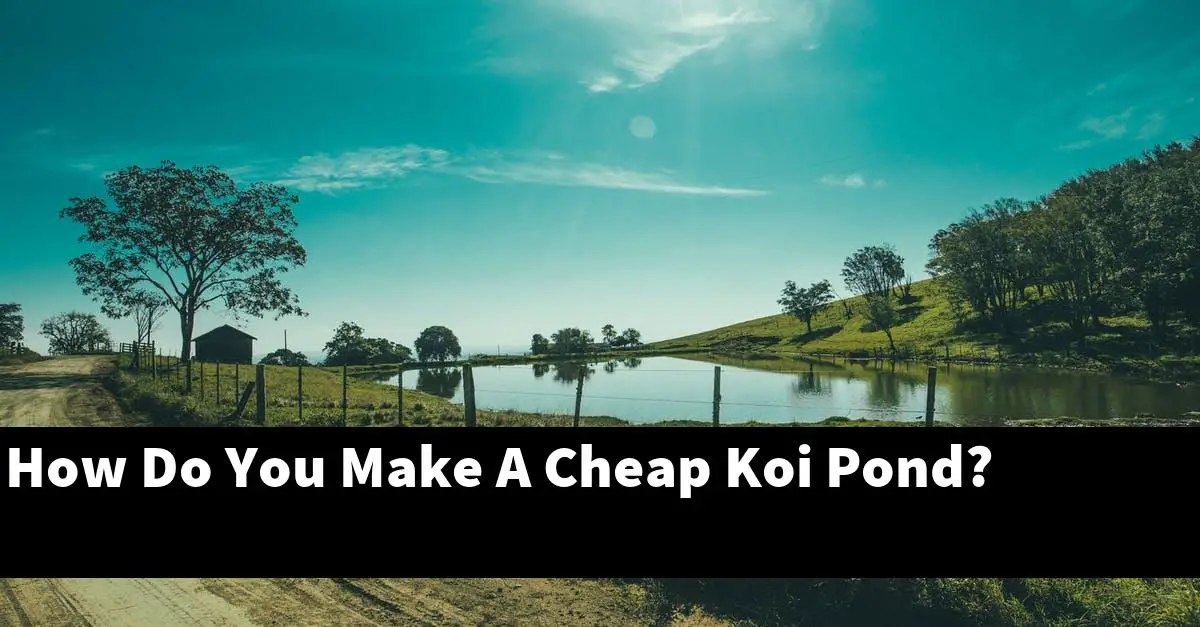 How Do You Make A Cheap Koi Pond?