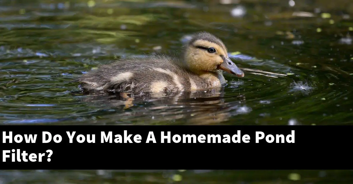 How Do You Make A Homemade Pond Filter?