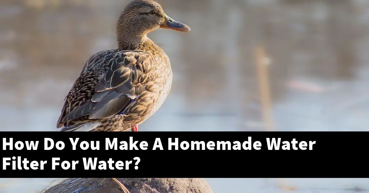 How Do You Make A Homemade Water Filter For Water?
