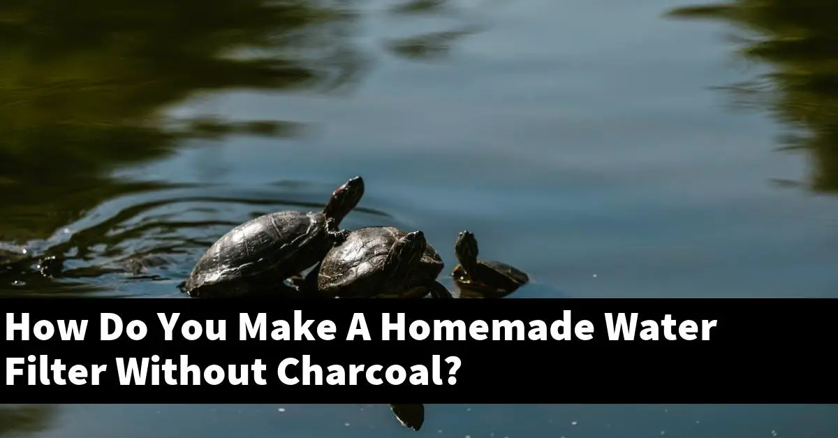 How Do You Make A Homemade Water Filter Without Charcoal?
