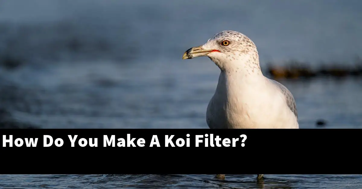 How Do You Make A Koi Filter?