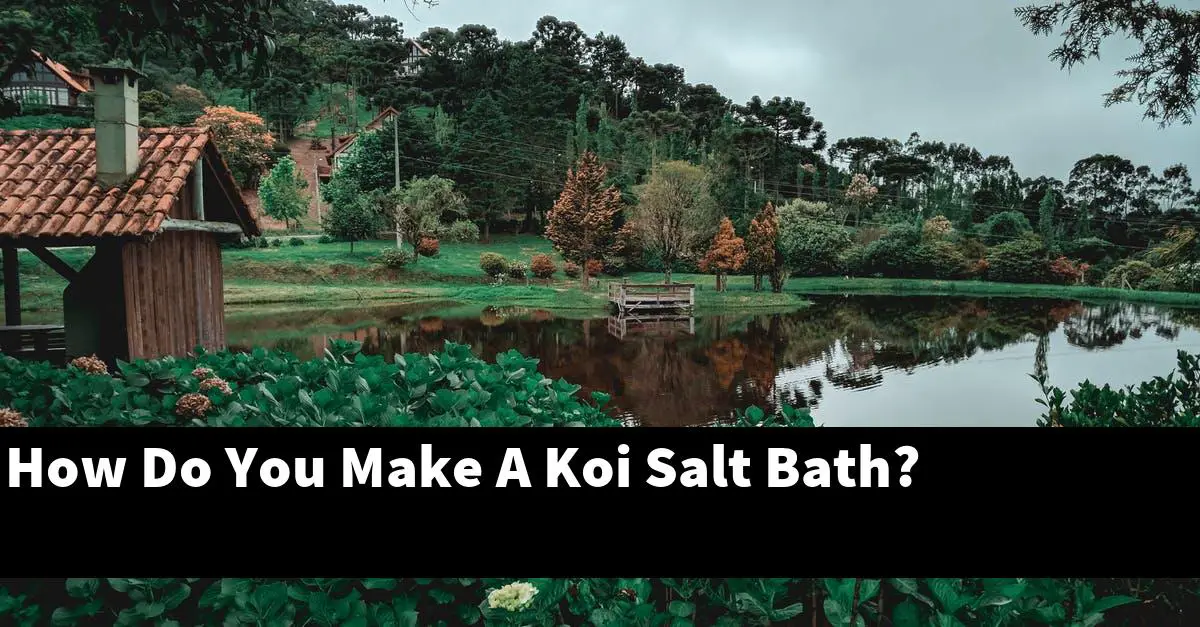How Do You Make A Koi Salt Bath?
