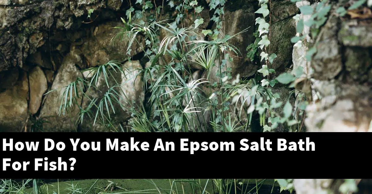 How Do You Make An Epsom Salt Bath For Fish?