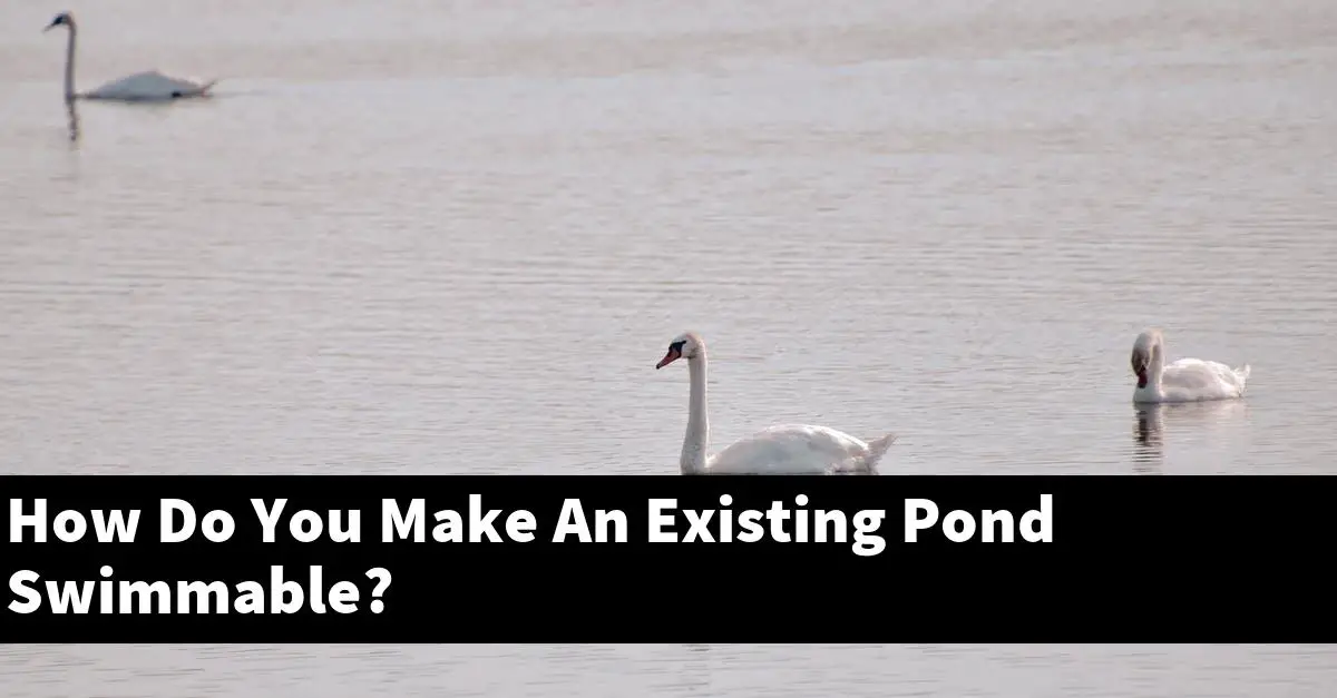 How Do You Make An Existing Pond Swimmable?