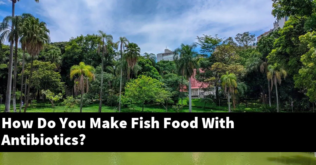 How Do You Make Fish Food With Antibiotics?