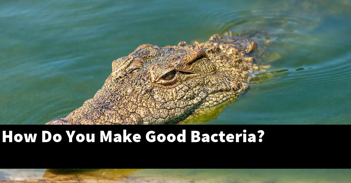 How Do You Make Good Bacteria?