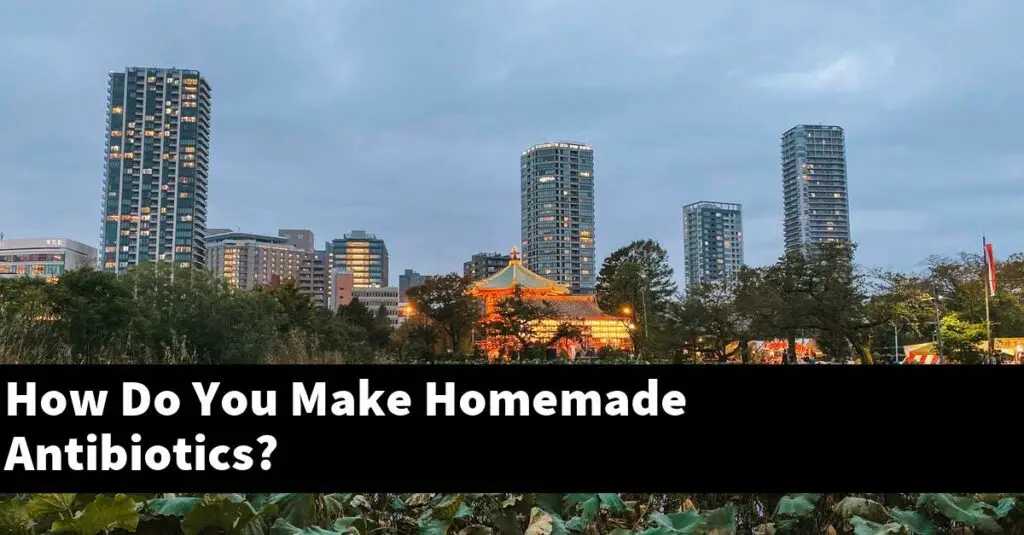 How Do You Make Homemade Antibiotics? [2024 Guide] Gold Koi Fish