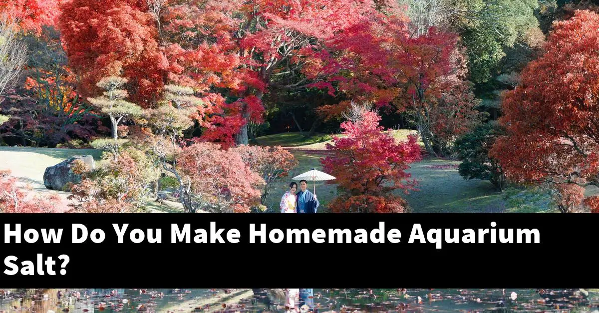 How Do You Make Homemade Aquarium Salt?