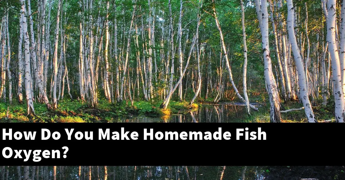 How Do You Make Homemade Fish Oxygen?