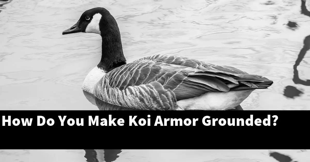 How Do You Make Koi Armor Grounded?