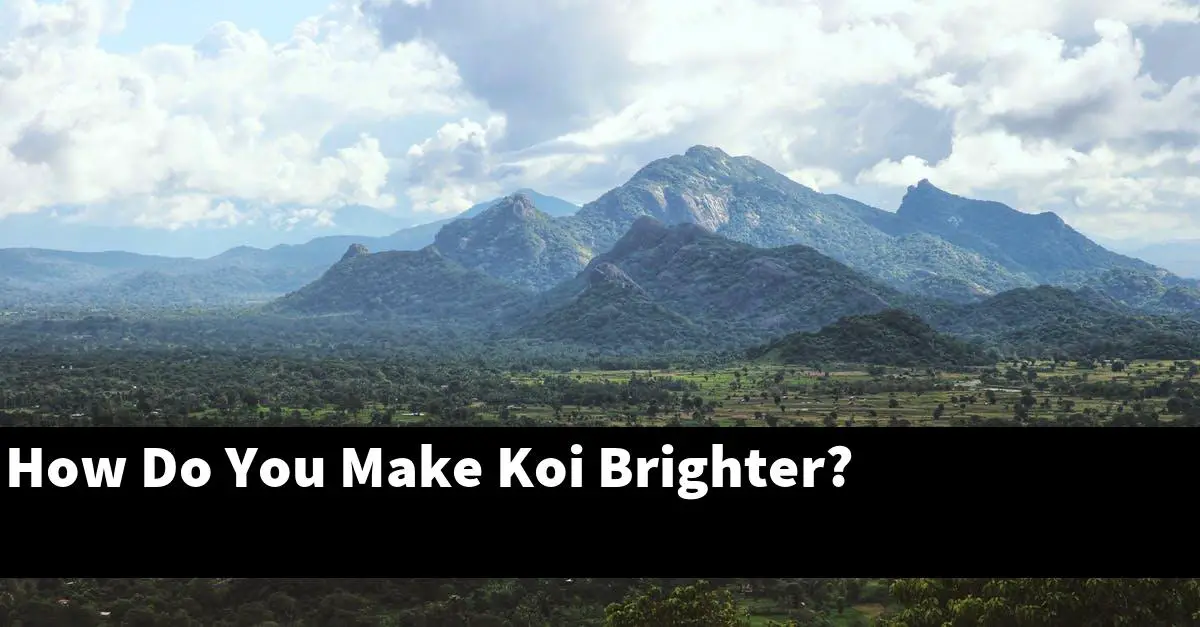 How Do You Make Koi Brighter?