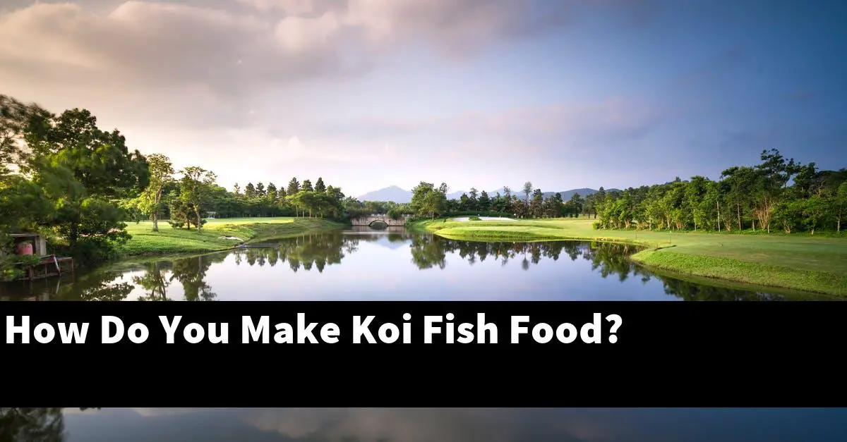 How Do You Make Koi Fish Food?