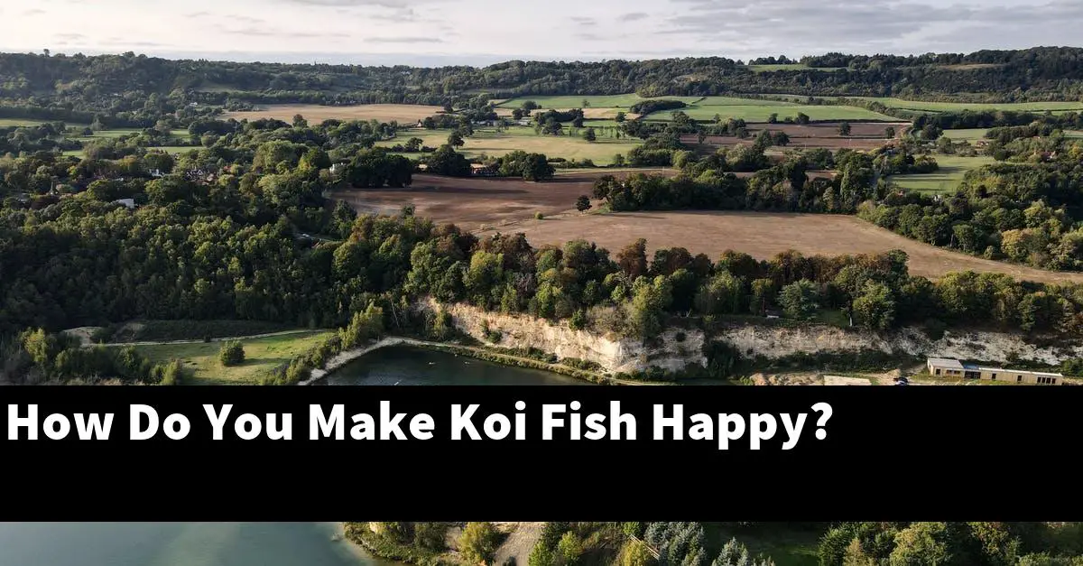 How Do You Make Koi Fish Happy?
