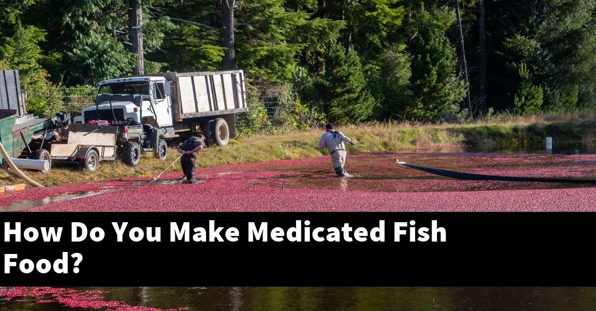 How Do You Make Medicated Fish Food?