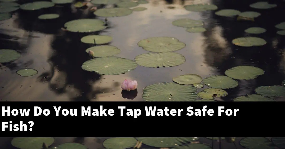 How Do You Make Tap Water Safe For Fish?