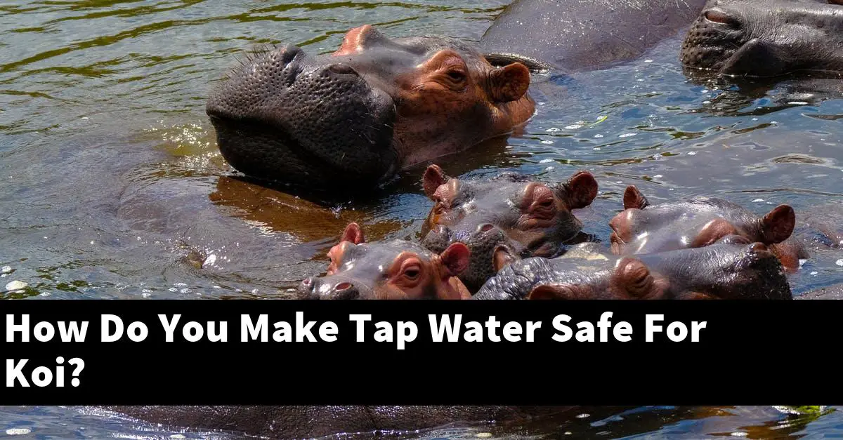 How Do You Make Tap Water Safe For Koi?