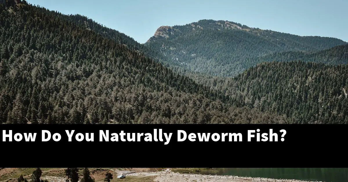 How Do You Naturally Deworm Fish?