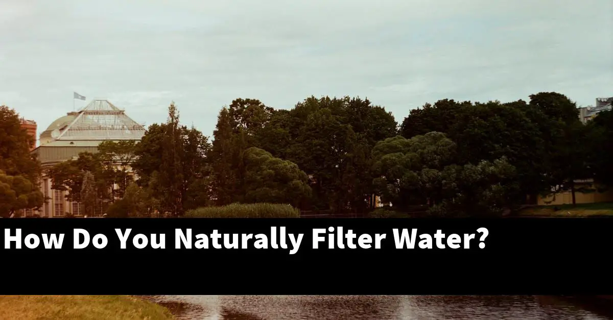 How Do You Naturally Filter Water?