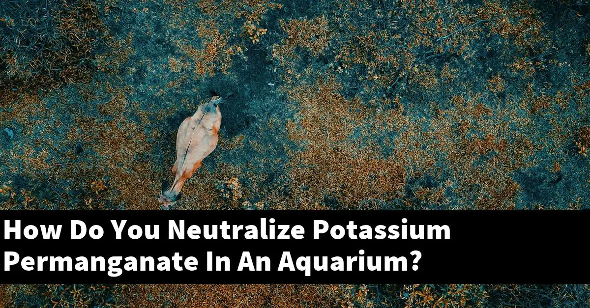 How Do You Neutralize Potassium Permanganate In An Aquarium?