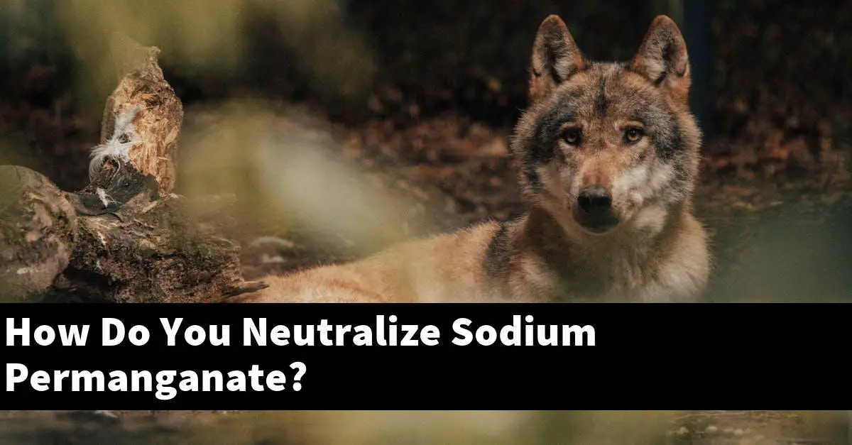 How Do You Neutralize Sodium Permanganate?