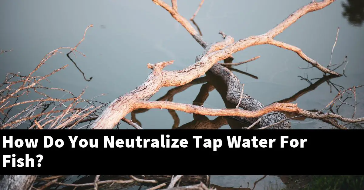 How Do You Neutralize Tap Water For Fish?