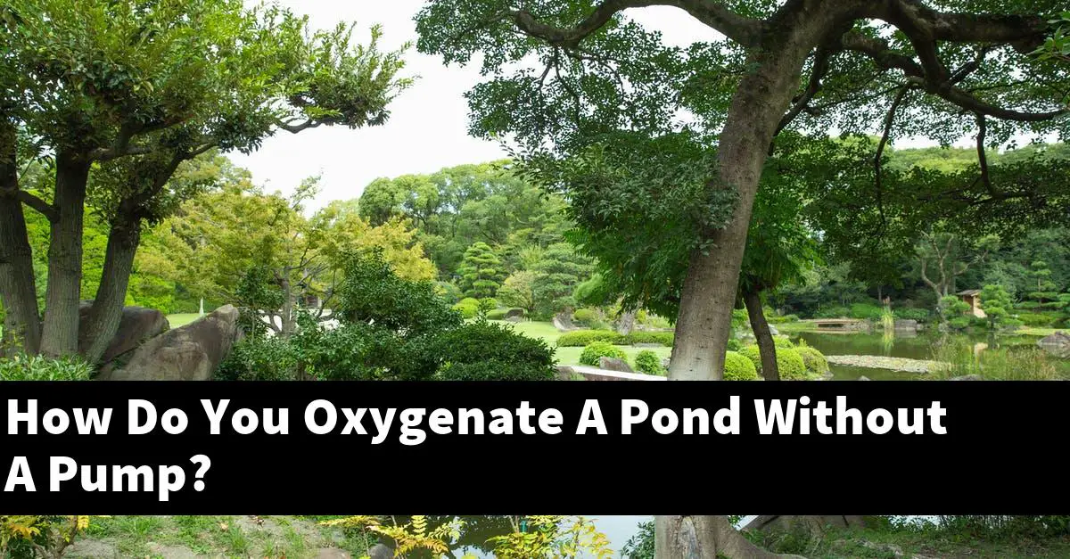 How Do You Oxygenate A Pond Without A Pump?