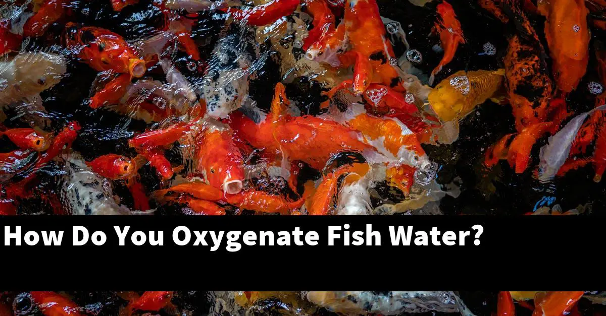 How Do You Oxygenate Fish Water?